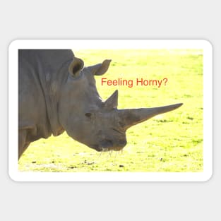 Feeling Horny? Sticker